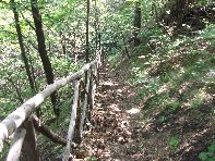 qua a Uttara20100613 007